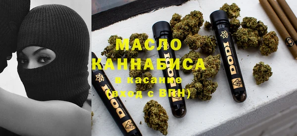 дмт Алексин