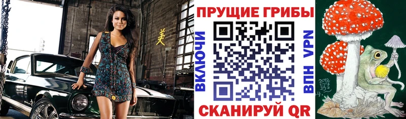 blacksprut tor  Заволжье  Галлюциногенные грибы MAGIC MUSHROOMS 