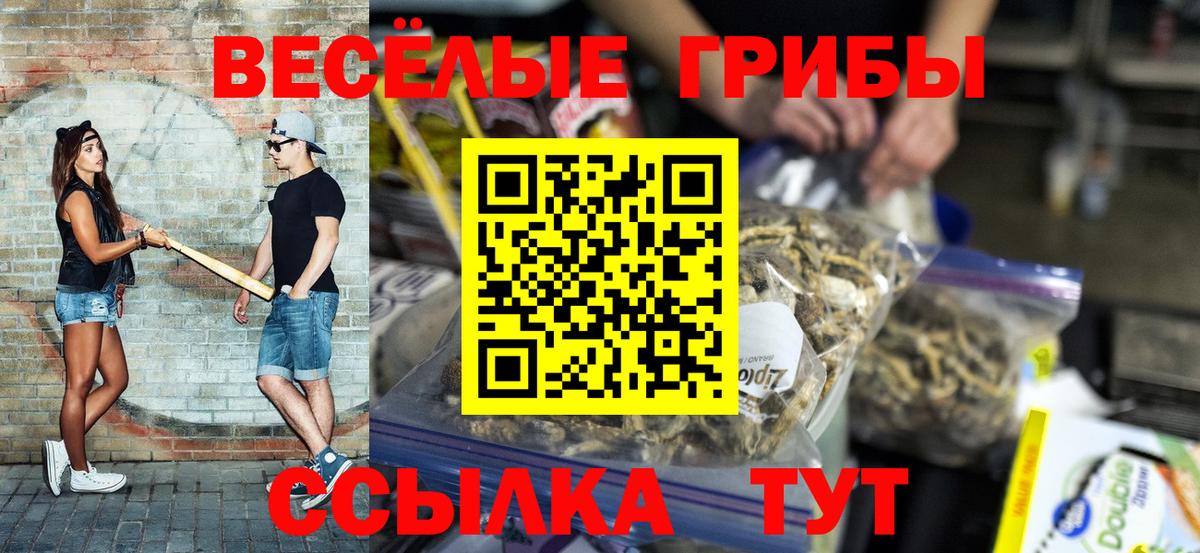 Псилоцибиновые грибы мицелий Заволжье