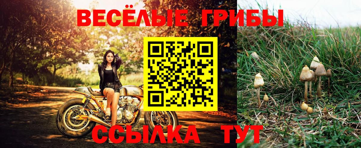 Псилоцибиновые грибы MAGIC MUSHROOMS  Галлюциногенные грибы ЛСД  Заволжье  Вход с VPN 